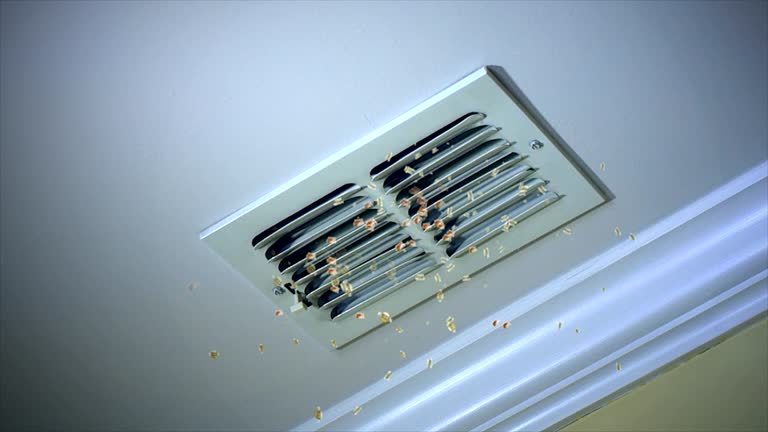 Best HVAC System Cleaning  in Chatsworth, IL